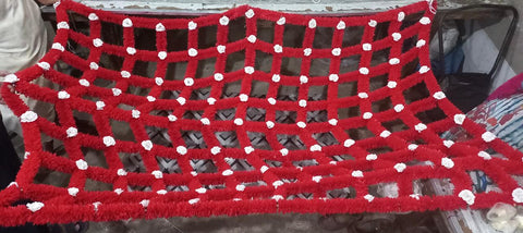 Signature Bridal Chaadar made with Red Velvet Fabric